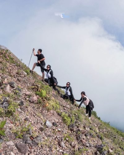 Desain tanpa judul.zip - 35